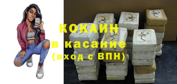 шишки Вяземский