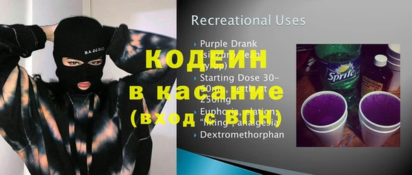 шишки Вяземский