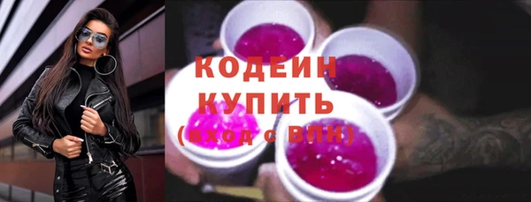 шишки Вяземский