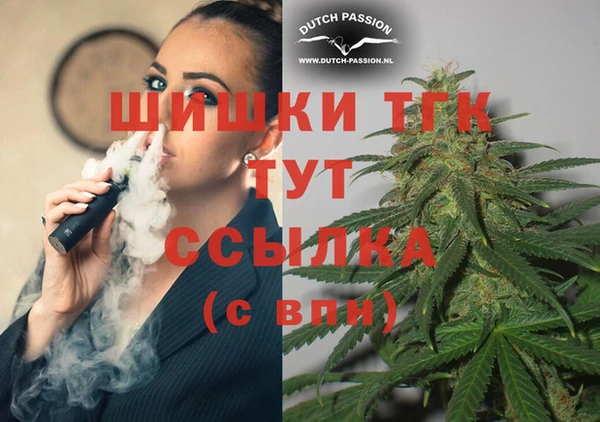 соль ск Вязьма