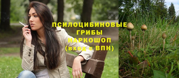 соль ск Вязьма