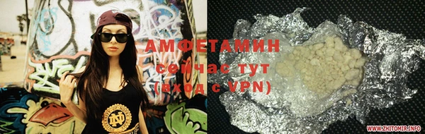 шишки Вяземский