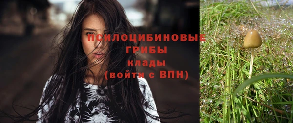 соль ск Вязьма