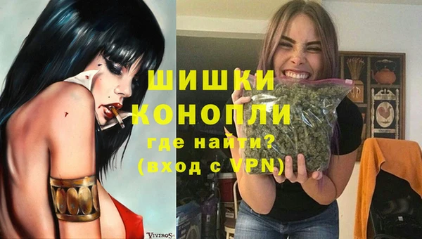 соль ск Вязьма