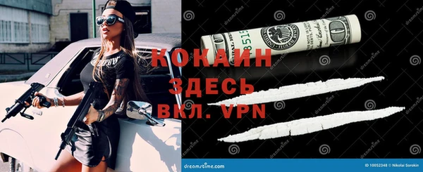шишки Вяземский